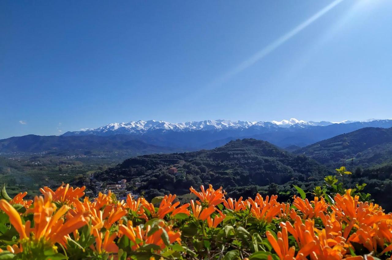 Villa Orgoni Patellari Buitenkant foto